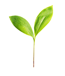 4.0 Protect Nature